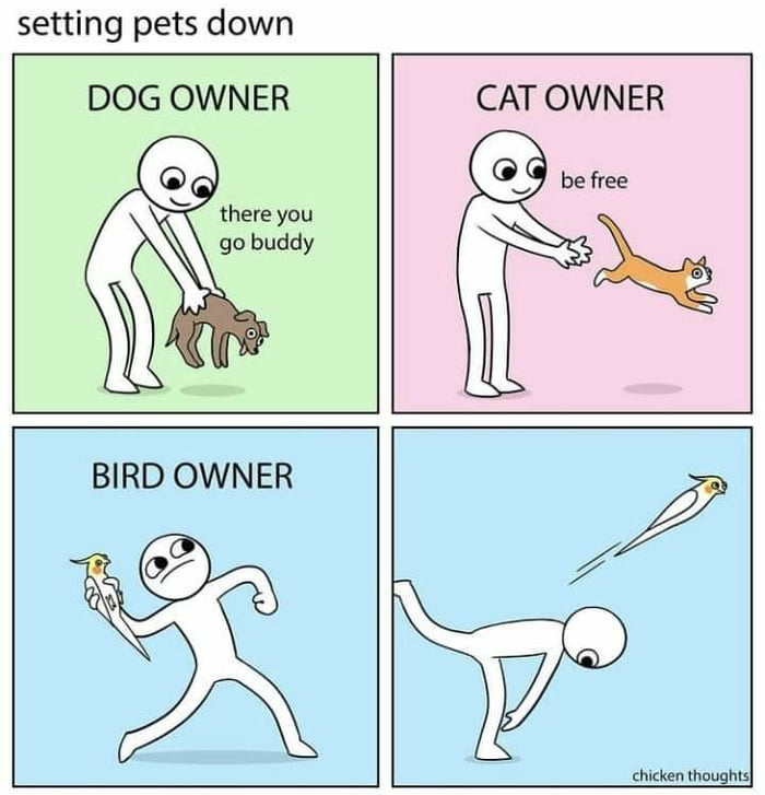 setting pets down DOG OWNER there you go buddy CAT OWNER chicken thoughts
