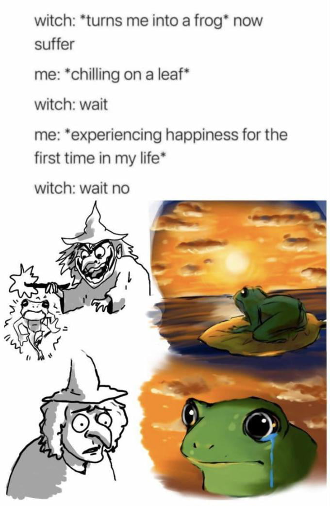 witch turns me into a frog now suffer me chilling on a leaf witch wait me experiencing happiness for the first time in my life witch wait no