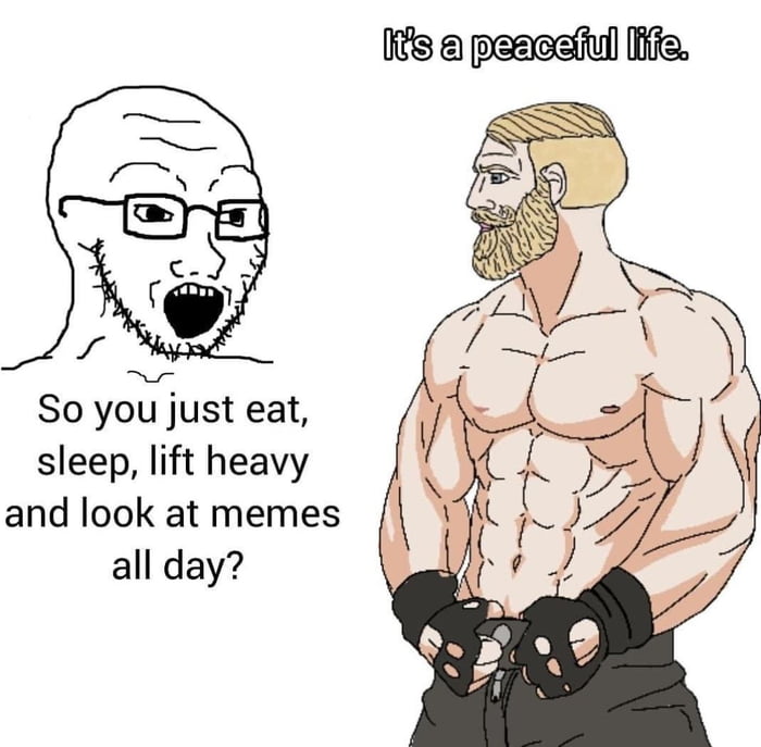 s peaeeiul ffe So you just eat sleep lift heavy and look at memes all day