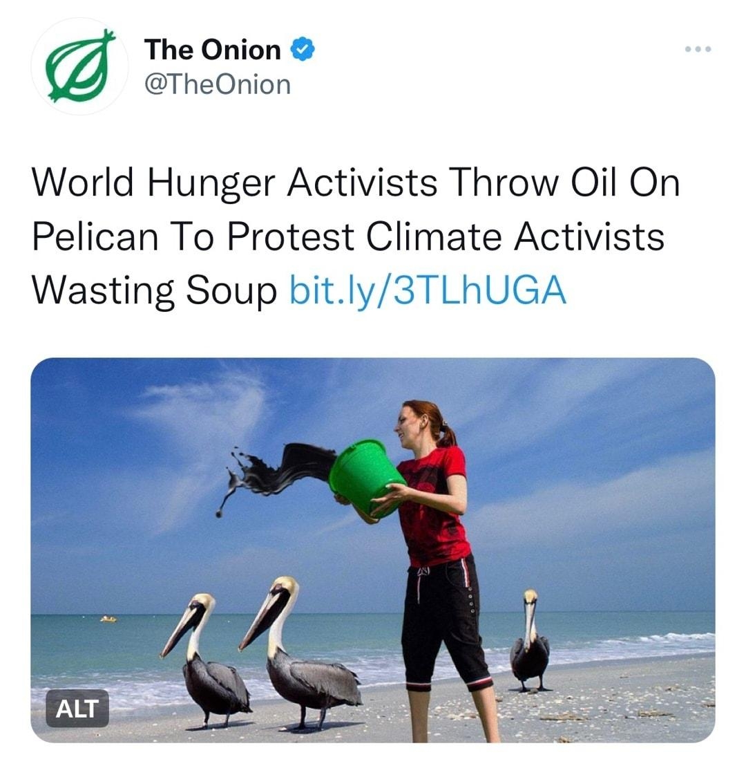 The Onion TheOnion World Hunger Activists Throw Oil On Pelican To Protest Climate Activists Wasting Soup bitly3TLhUGA 245 PM 102822 Sprout Social 293 Retweets 19 Quote Tweets 1409 Likes