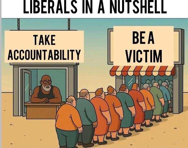 LIBERALS IN A NUTSHELL
TAKE ACCOUNTABILITY   BE A VICTIM