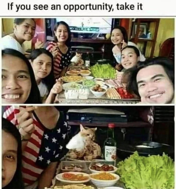 If you see an opportunity, take it. A group of people are gathered around a table full of food, smiling for a photo. In the bottom frame, a cat is seen taking advantage of the situation, actively eating from the dishes on the table.
