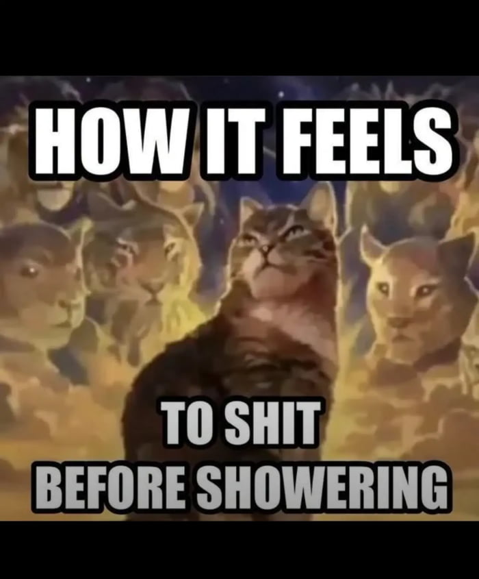 HOW IT FEELS TO SHIT BEFORE SHOWERING