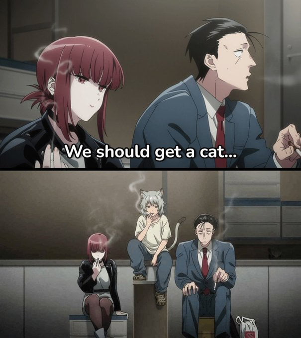 We should get a cat...
