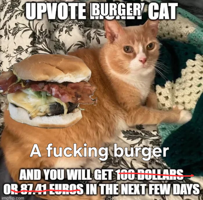 UPVOTE BURGER CAT A fucking burger AND YOU WILL GET 100 DOLLARS OR 87.41 EUROS IN THE NEXT FEW DAYS