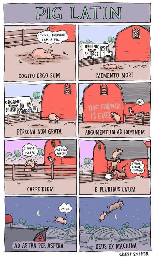 PIG LATIN B R MEMENTO MORI E PLURIBUS UliJM dff e DEUS EX MACKINA GRANT SNIDER W0 ASTIA R ASPERA