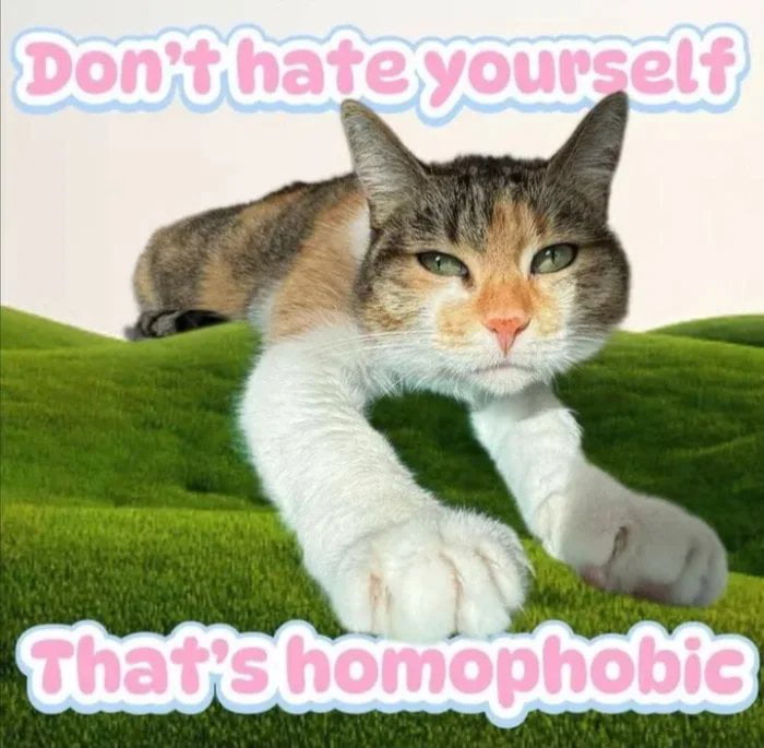 Don't hate yourself That's homophobic