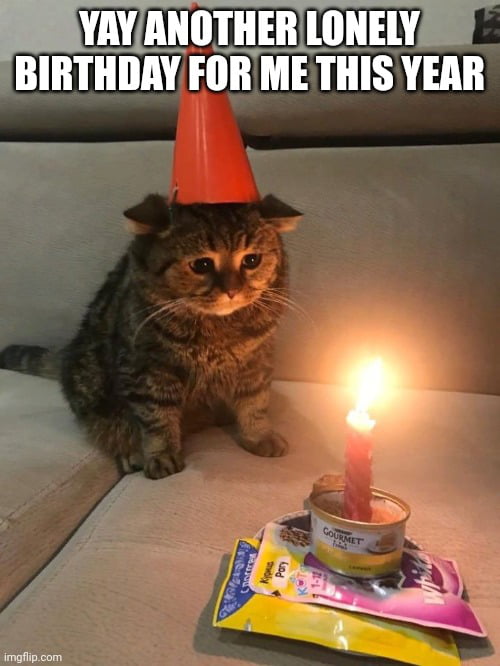 YAY ANOTHER LONELY BIRTHDAY FOR ME THIS YEAR