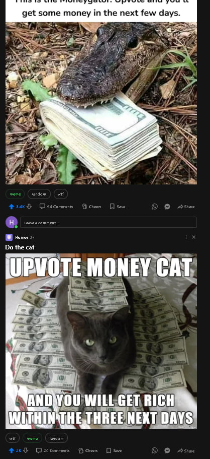This is the Moneygator. Upvote and you'll get some money in the next few days. Do the cat. UPVOTE MONEY CAT AND YOU WILL GET RICH WITHIN THE THREE NEXT DAYS