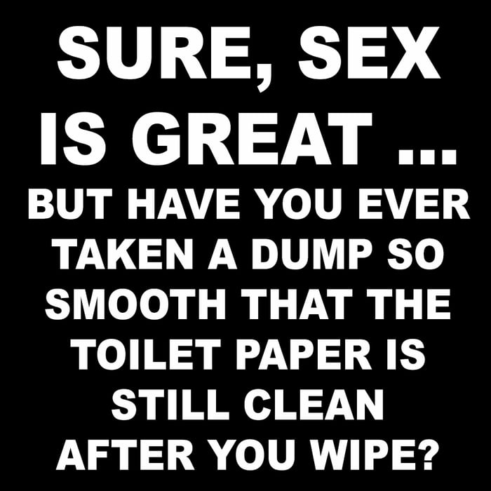 SURE SEX IS GREAT BUT HAVE YOU EVER TAKEN A DUMP SO SMOOTH THAT THE TOILET PAPER IS STILL CLEAN AFTER YOU WIPE