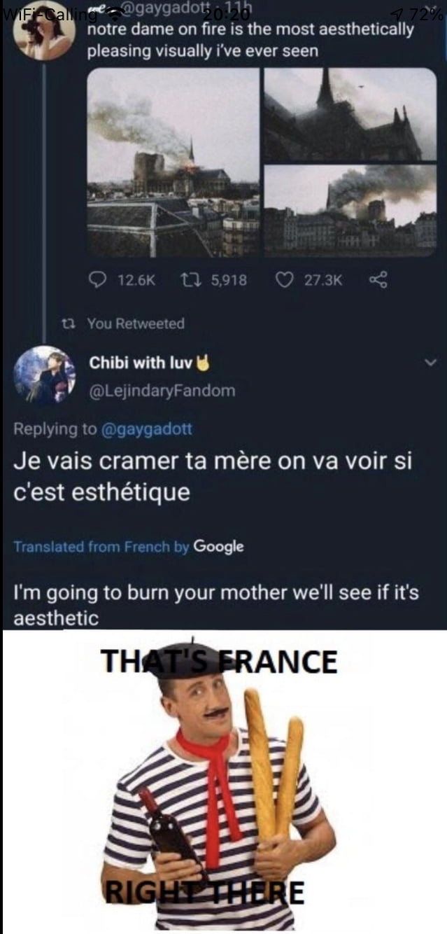 notre dame on fire is the most aesthetically l pleasing visually ive ever seen b B Chibi with luv V oL yFa T gaygadott Je vais cramer ta mere on va voir si cest esthtique v Google Im going to burn your mother well see if its EER G