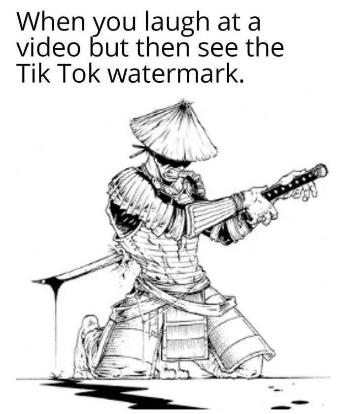 When you laugh at a video but then see the Tik Tok watermark
