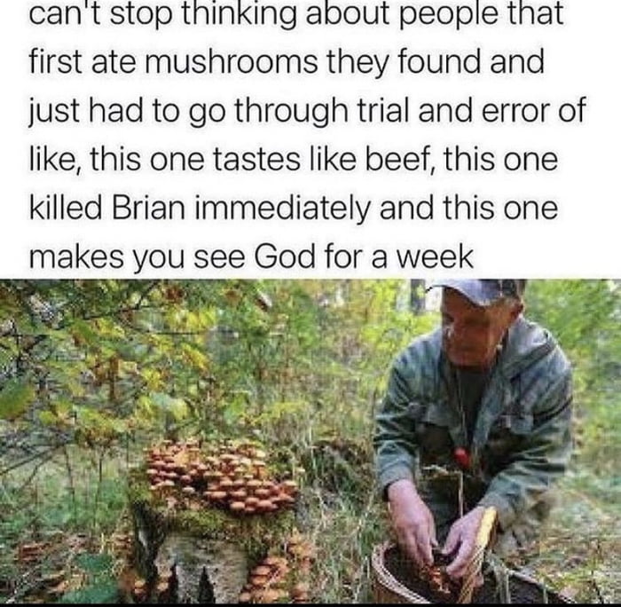 cant stop tninking about people that first ate mushrooms they found and just had to go through trial and error of like this one tastes like beef this one killed Brian immediately and this one makes you see God for a week