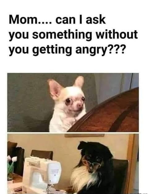 Mom can ask you something without you getting angry