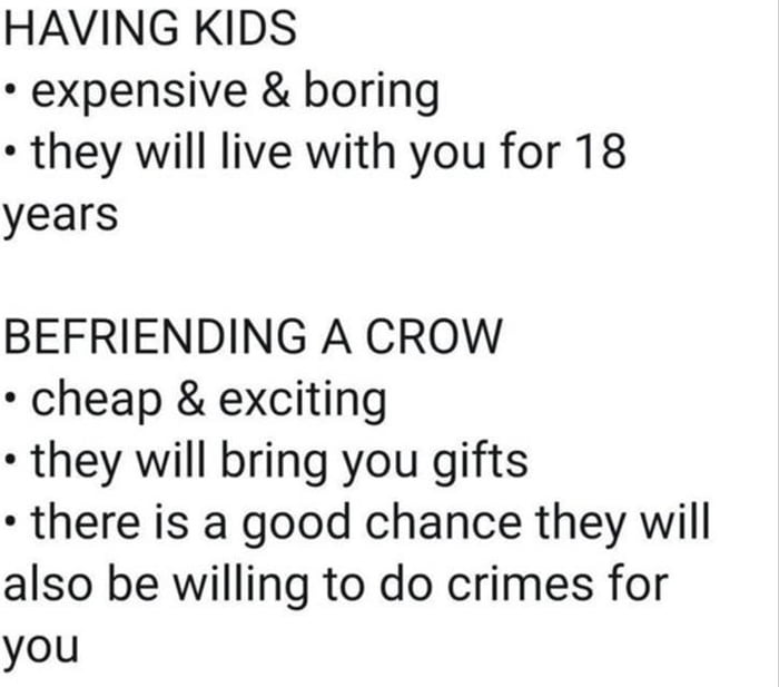 HAVING KIDS expensive boring they will live with you for 18 years BEFRIENDING A CROW cheap exciting they will bring you gifts there is a good chance they will also be willing to do crimes for you
