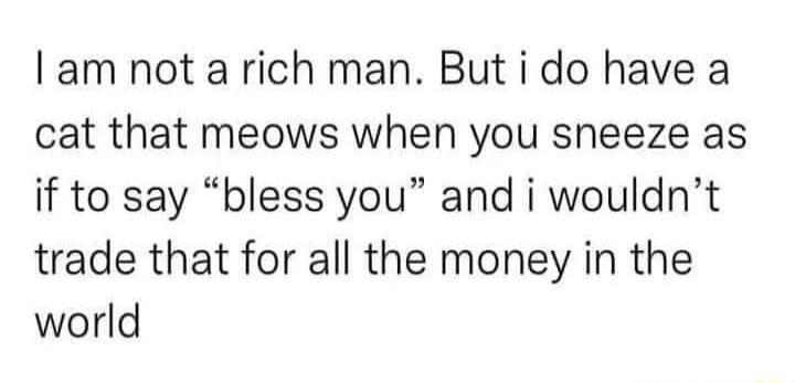 am not a rich man But i do have a cat that meows when you sneeze as if to say bless you and i wouldnt trade that for all the money in the world