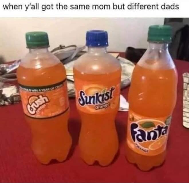 when y'all got the same mom but different dads