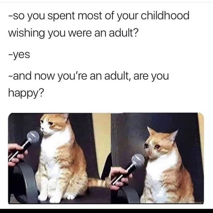 s0 you spent most of your childhood wishing you were an adult yes and now youre an adult are you happy