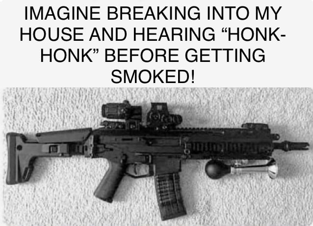 IMAGINE BREAKING INTO MY HOUSE AND HEARING HONK HONK BEFORE GETTING SMOKED
