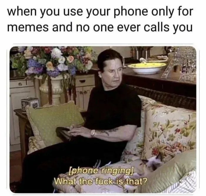 when you use your phone only for memes and no one ever calls you