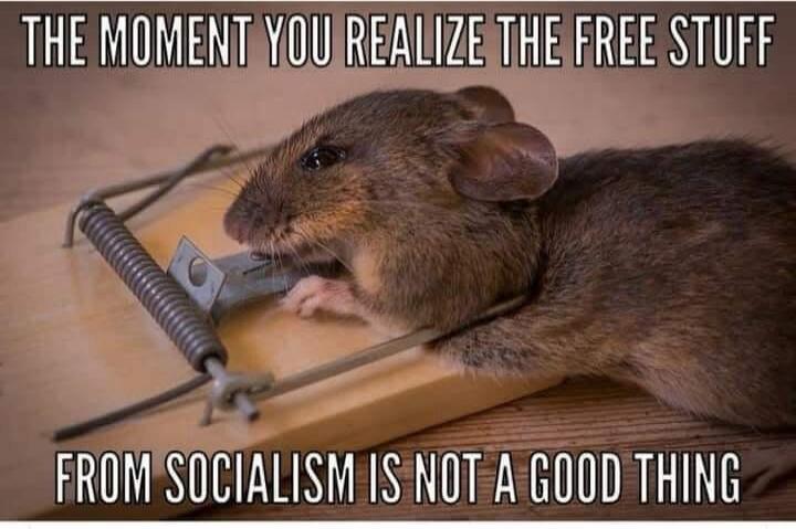 THE MOMENT YOU REALIZE THE FREE STUFF FROM SOCIALISM IS NOT A GOOD THING