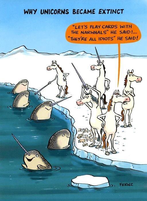 WHY UNICORNS BECAME EXTINCT