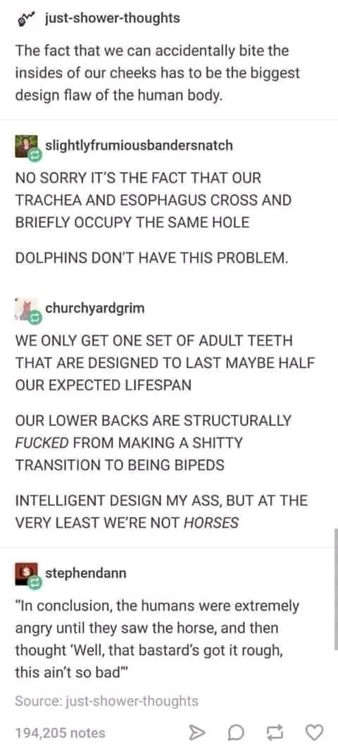 just shower thoughts The fact that we can accidentally bite the insides of our cheeks has to be the biggest design flaw of the human body slightlyfrumiousbandersnatch NO SORRY ITS THE FACT THAT OUR TRACHEA AND ESOPHAGUS CROSS AND BRIEFLY OCCUPY THE SAME HOLE DOLPHINS DONT HAVE THIS PROBLEM h churchyardgrim WE ONLY GET ONE SET OF ADULT TEETH THAT ARE DESIGNED TO LAST MAYBE HALF OUR EXPECTED LIFESPA