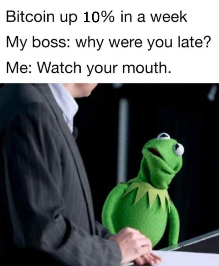 Bitcoin up 10 in a week My boss why were you late Me Watch your mouth