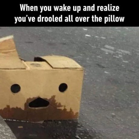 L L RTITRTELCRTED LR CEL T youve drooled all over the pillow