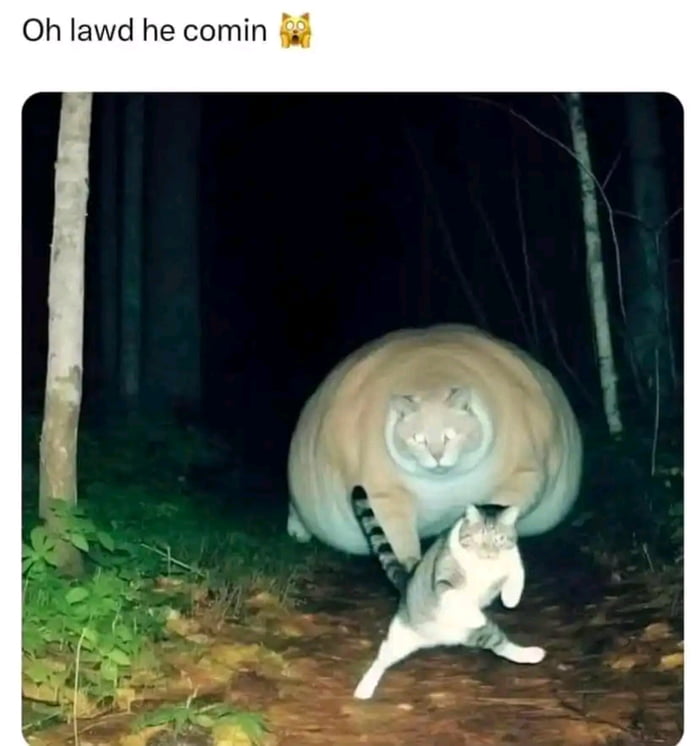 Oh lawd he comin