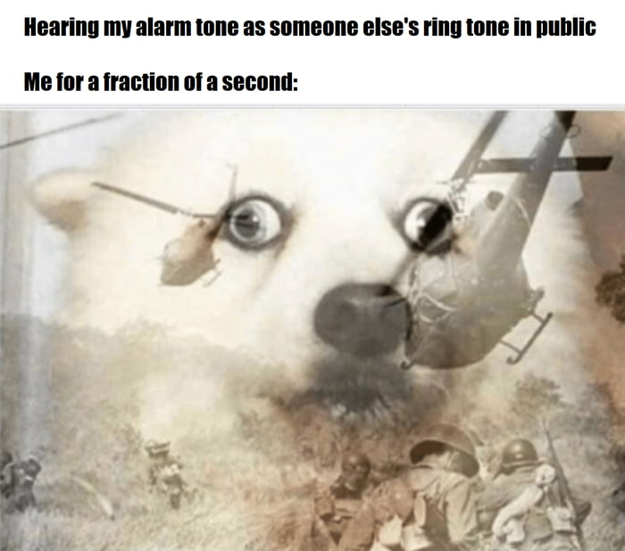Hearing my alarm tone as someone elses ring tone in public Me for a fraction of a second