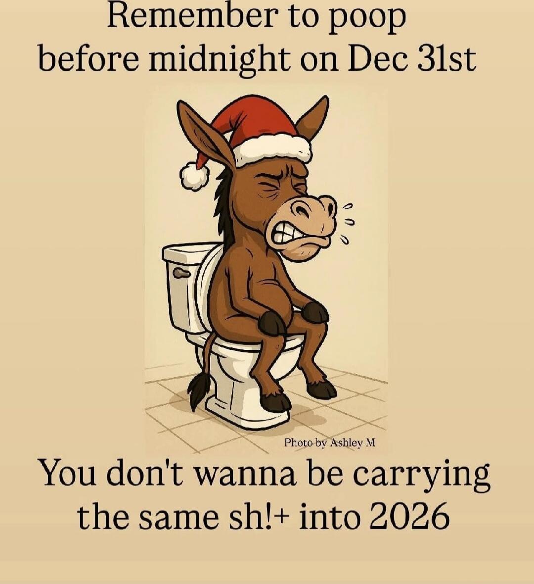 Remember to poop before midnight on Dec 31st
You don't wanna be carrying the same sh!+ into 2026