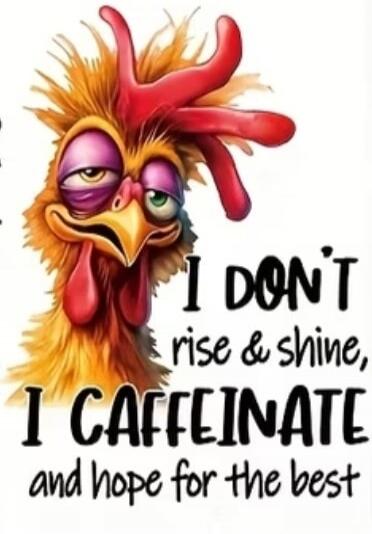 I DON'T rise & shine, I CAFFEINATE and hope for the best