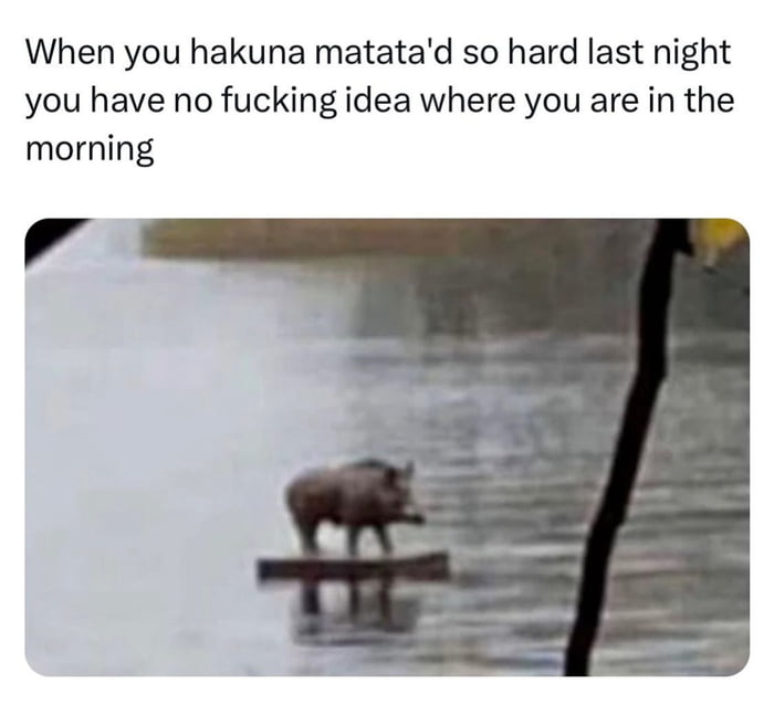 When you hakuna matatad so hard last night you have no fucking idea where you are in the morning
