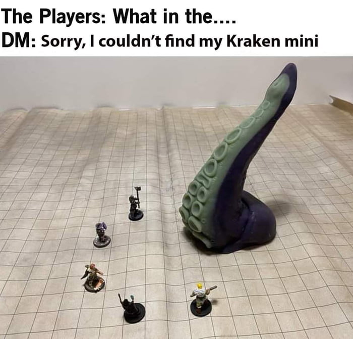 The Players What in the DM Sorry couldnt find my Kraken mini