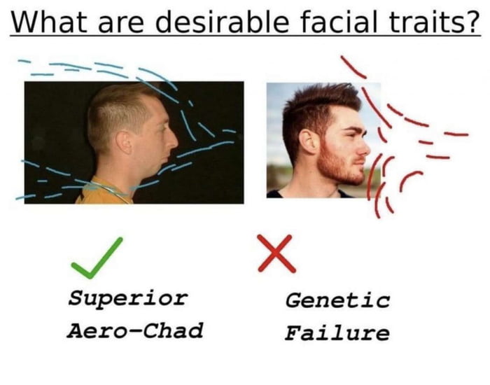What are desirable facial traits N v 4 v X Superior Genetic Aero Chad Failure r