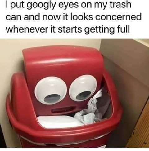 put googly eyes on my trash can and now it looks concerned whenever it starts getting full