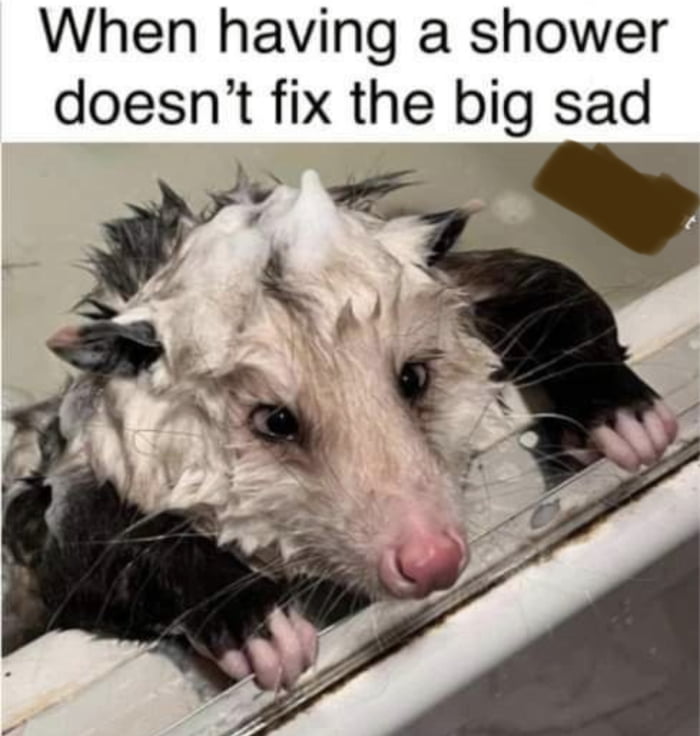 When having a shower doesnt fix the big sad