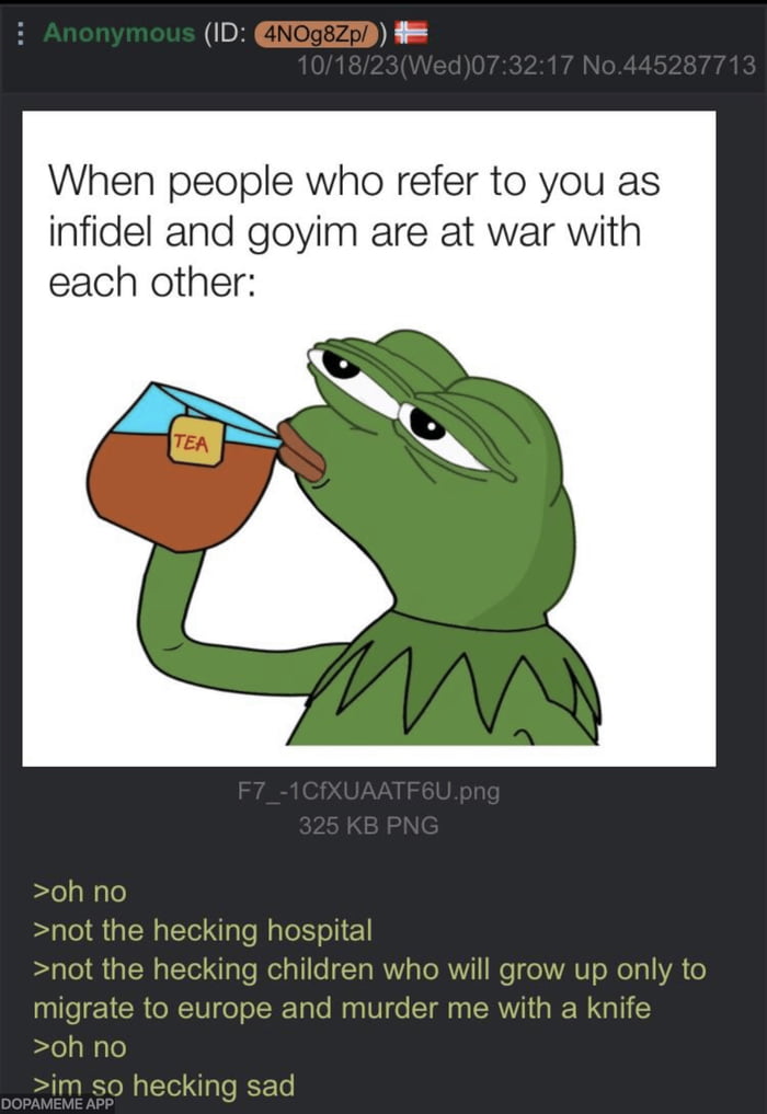 ID When people who refer to you as infidel and goyim are at war with each other