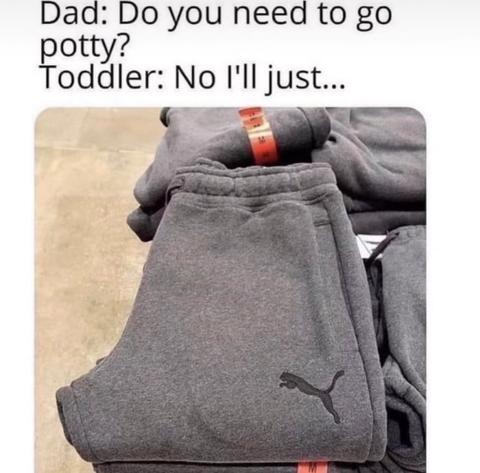 Dad Do you need to go potty Toddler No Ill just k
