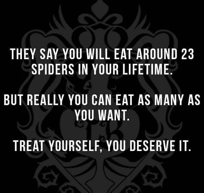 THEY SAY YOU WILL EAT AROUND 23 SPIDERS IN YOUR LIFETIME BUT REALLY YOU CAN EAT AS MANY AS YOU WANT TREAT YOURSELF YOU DESERVE IT