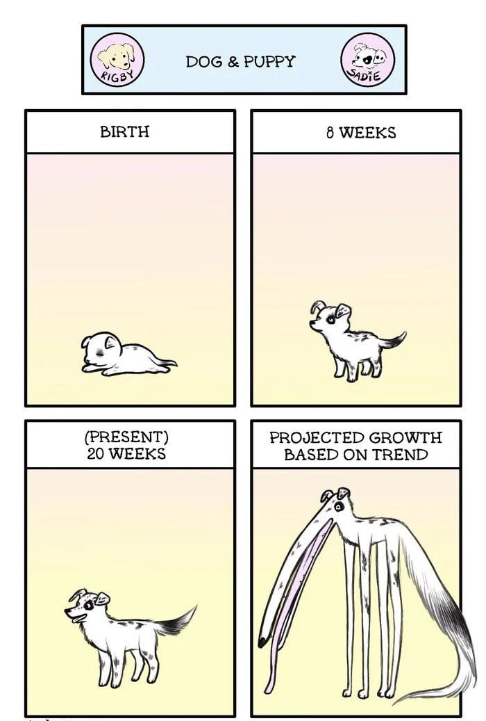 DOG PUPPY PRESENT 20 WEEKS