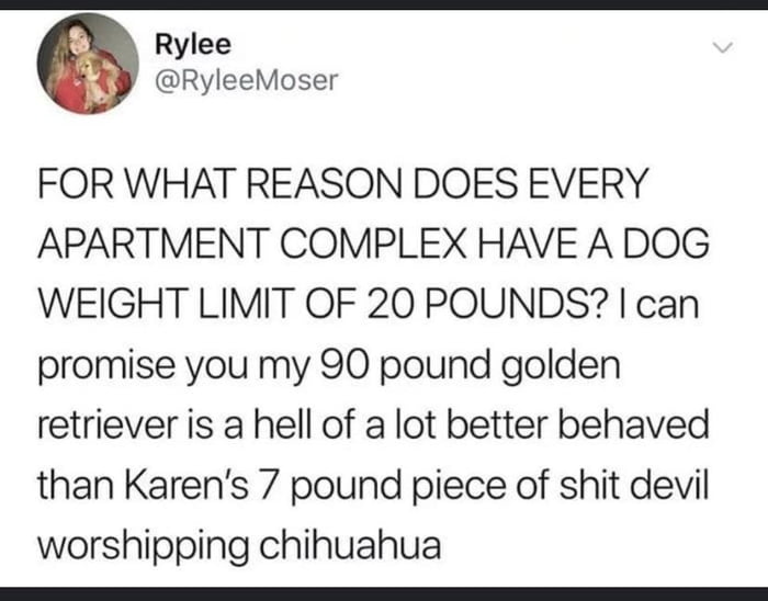 Rylee RyleeMoser FOR WHAT REASON DOES EVERY APARTMENT COMPLEX HAVE A DOG WEIGHT LIMIT OF 20 POUNDS can promise you my 90 pound golden retriever is a hell of a lot better behaved than Karens 7 pound piece of shit devil worshipping chihuahua