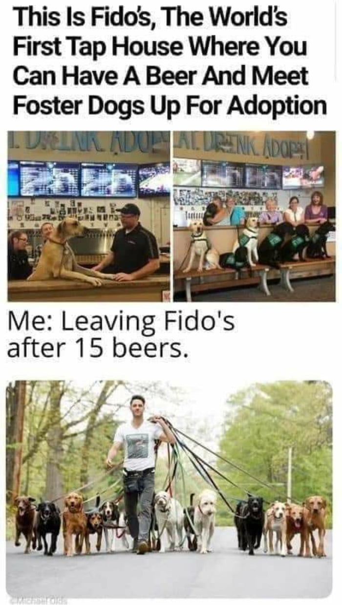 This Is Fidos The Worlds First Tap House Where You Can Have A Beer And Meet Foster Dogs Up For Adoption Me Leaving Fidos after 15 beers 78