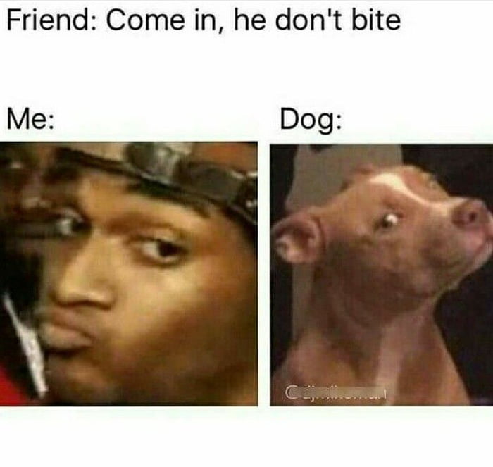 Friend Come in he dont bite Me