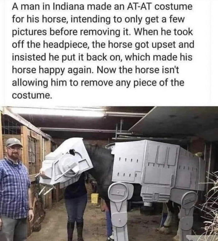 A man in Indiana made an AT AT costume for his horse intending to only get a few pictures before removing it When he took off the headpiece the horse got upset and insisted he put it back on which made his horse happy again Now the horse isnt allowing him to remove any piece of the costume