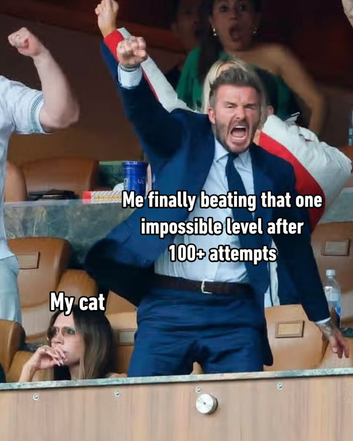 Me finally beating that one impossible level after 100+ attempts. My cat.