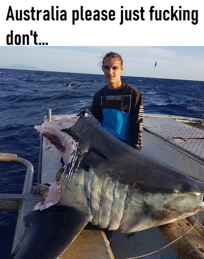 Australia please just fucking