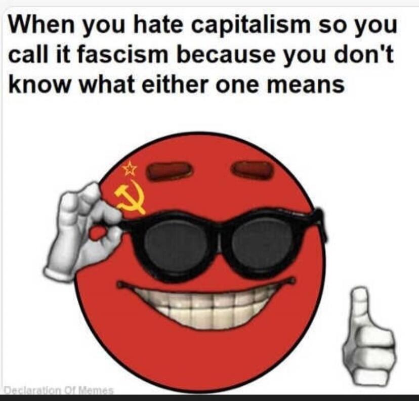 When you hate capitalism so you call it fascism because you don't know what either one means. Declaration Of Memes.