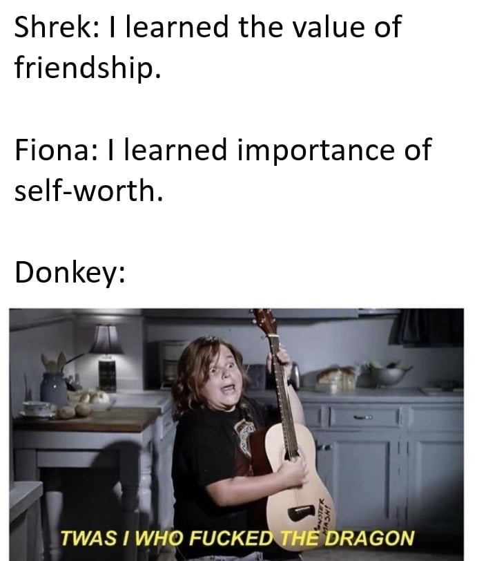Shrek learned the value of friendship Fiona learned importance of self worth TWAS WHO FUCKEI DRAGON